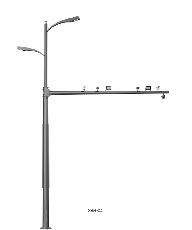 DGNG-025 Intelligent multifunctional comprehensive pole