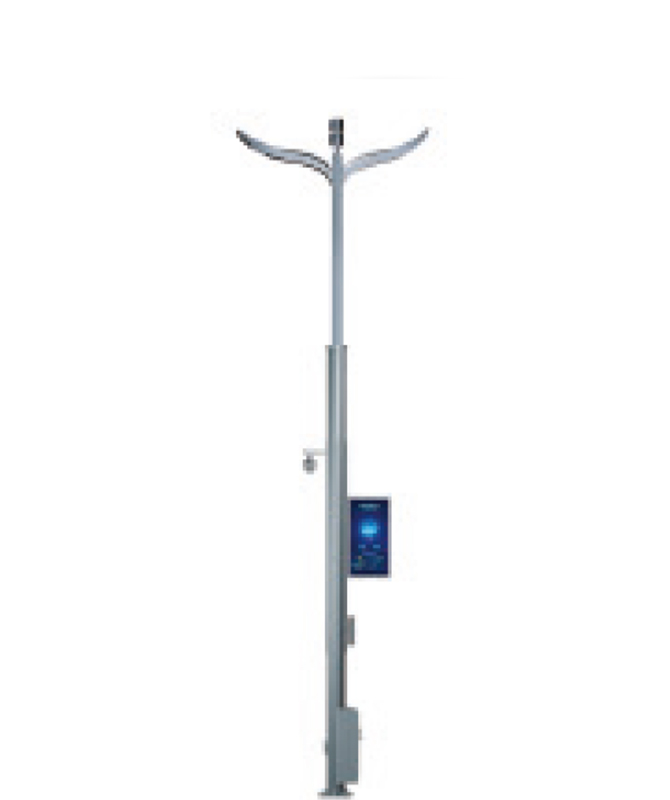 D-Type Comprehensive Lamp Post High power LED street lights